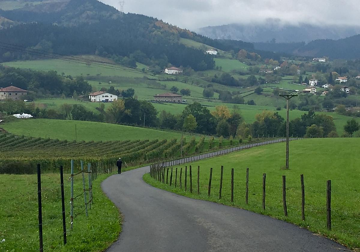 El catastro divide el amplísimo entorno rural oñariarra en 28 polígonos.