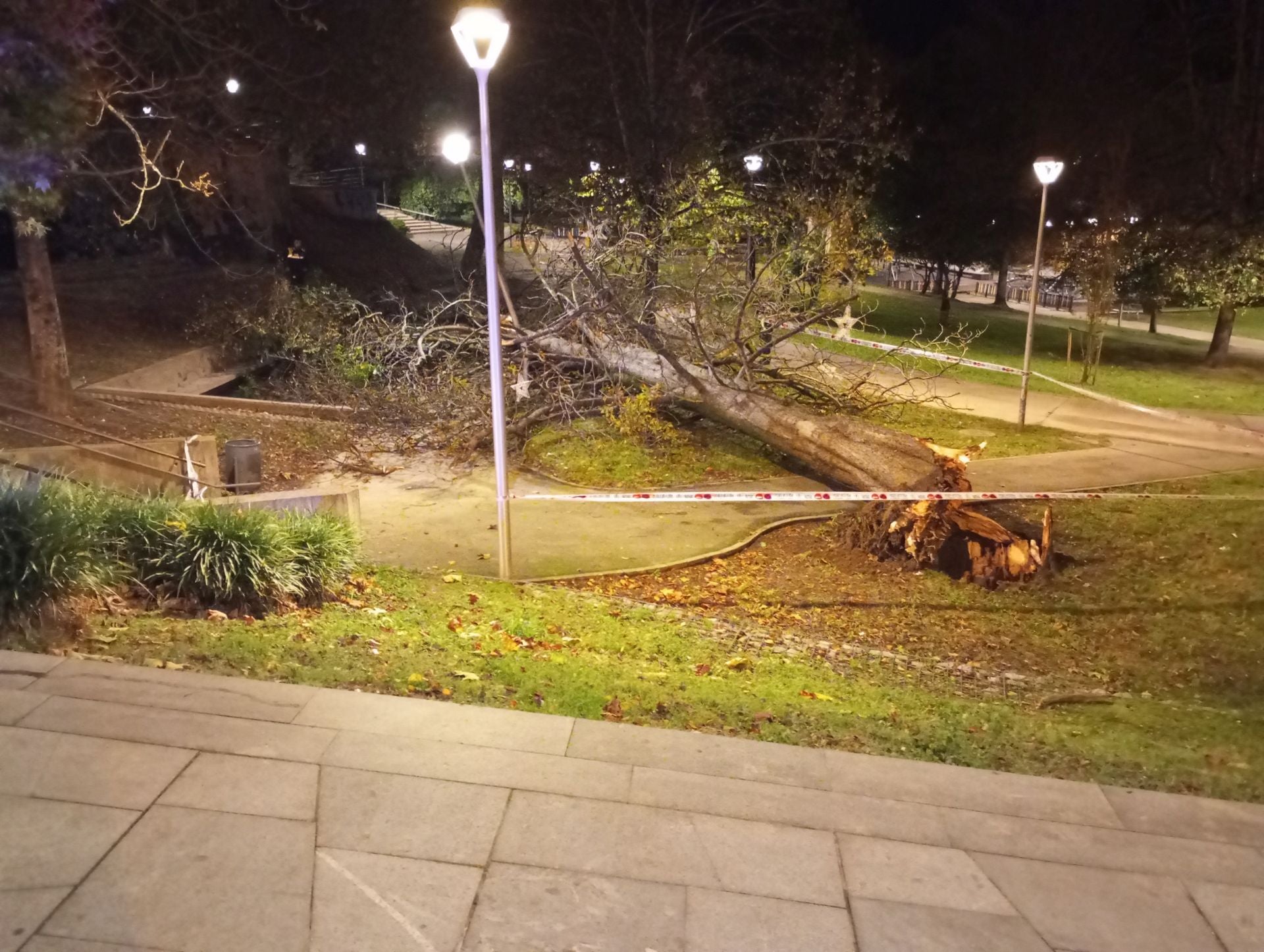 El fuerte viento derribó un árbol a las 3.30 de la madrugada en el parque Sargia de Irun.