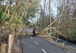 Incidencias en todo Gipuzkoa a causa del viento, en imágenes