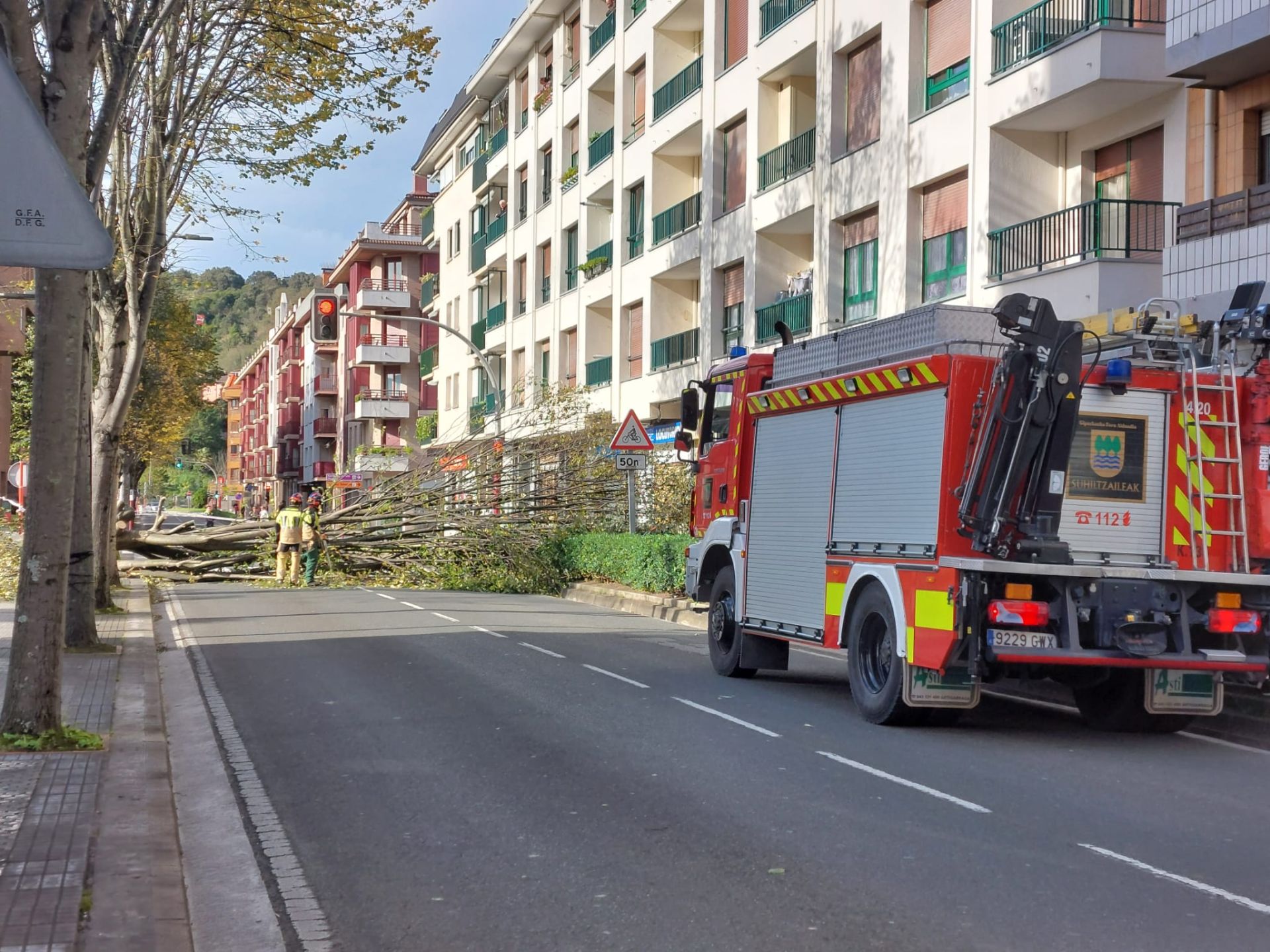 Los bomberos cortando un árbol caído en Zumaia.