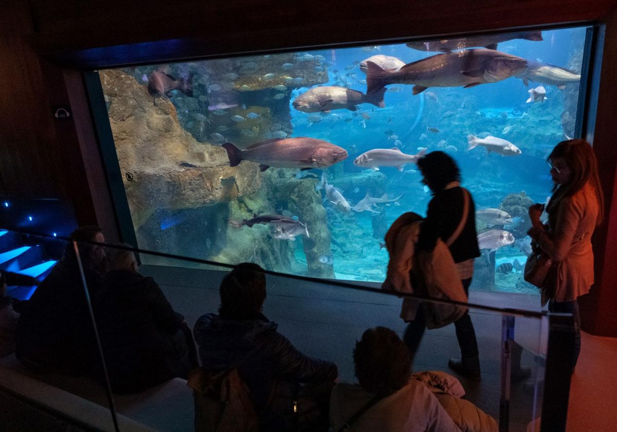 Visita al Aquarium de los suscriptores de El Diario Vasco