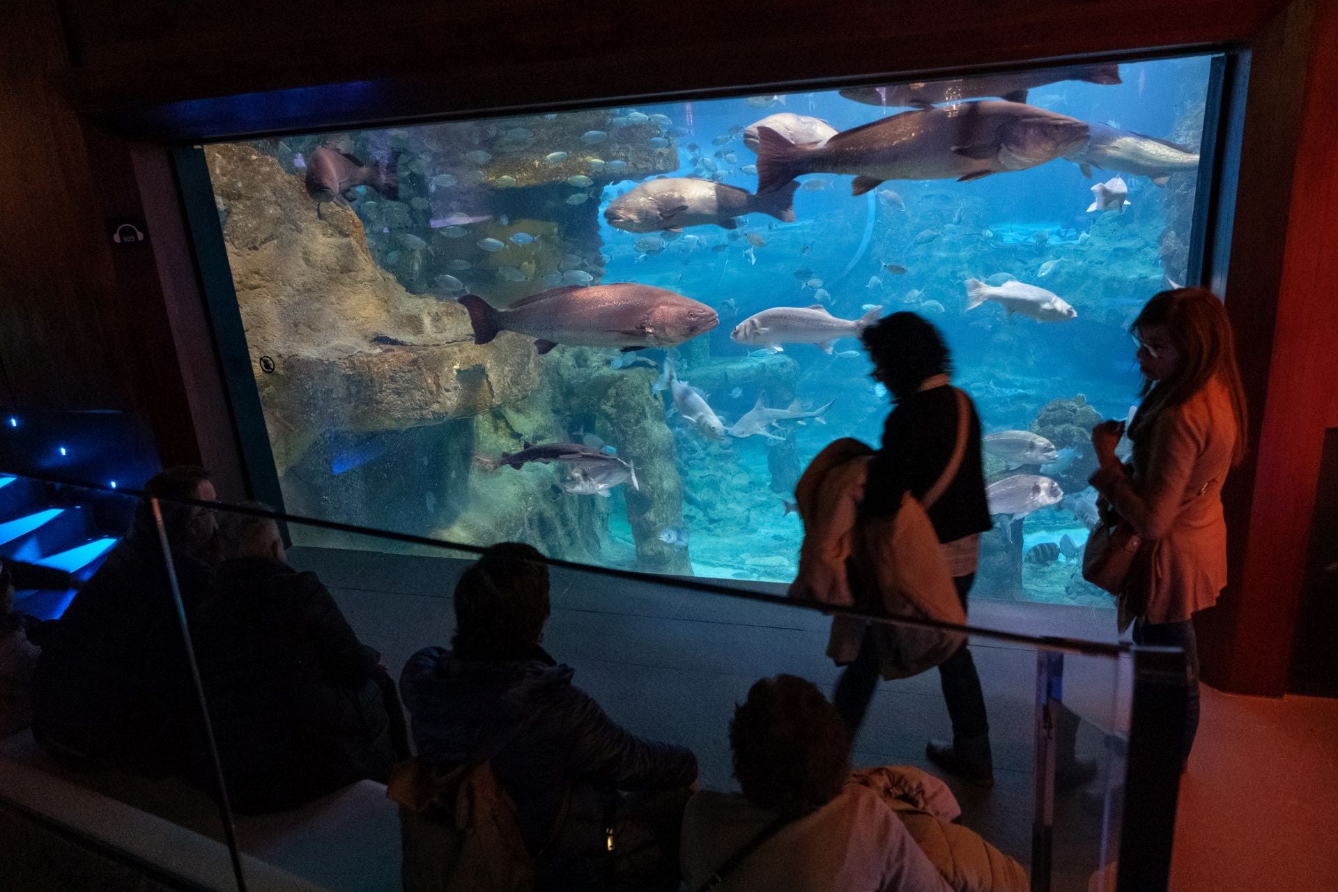 Visita al Aquarium de los suscriptores de El Diario Vasco