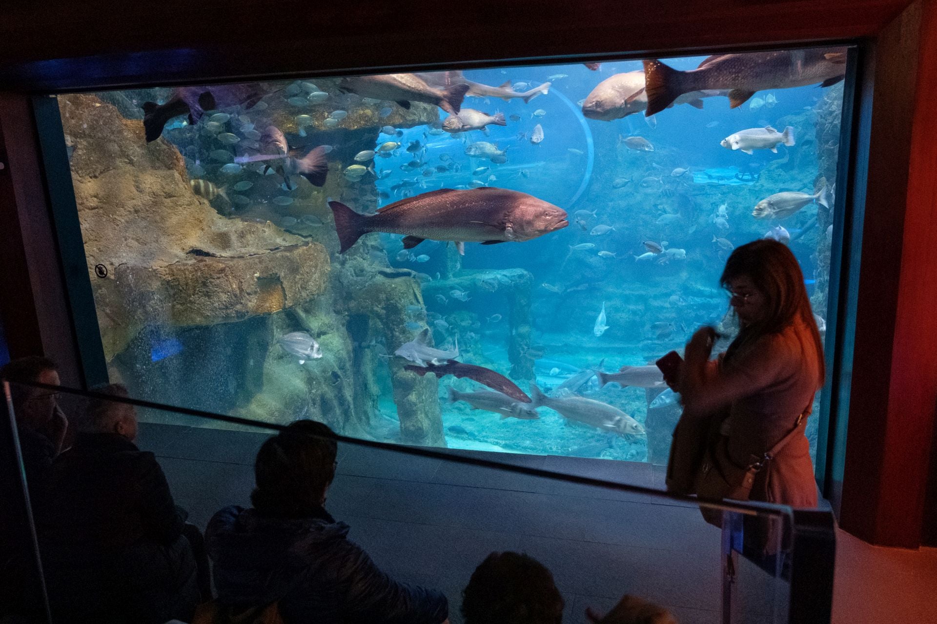 Visita al Aquarium de los suscriptores de El Diario Vasco