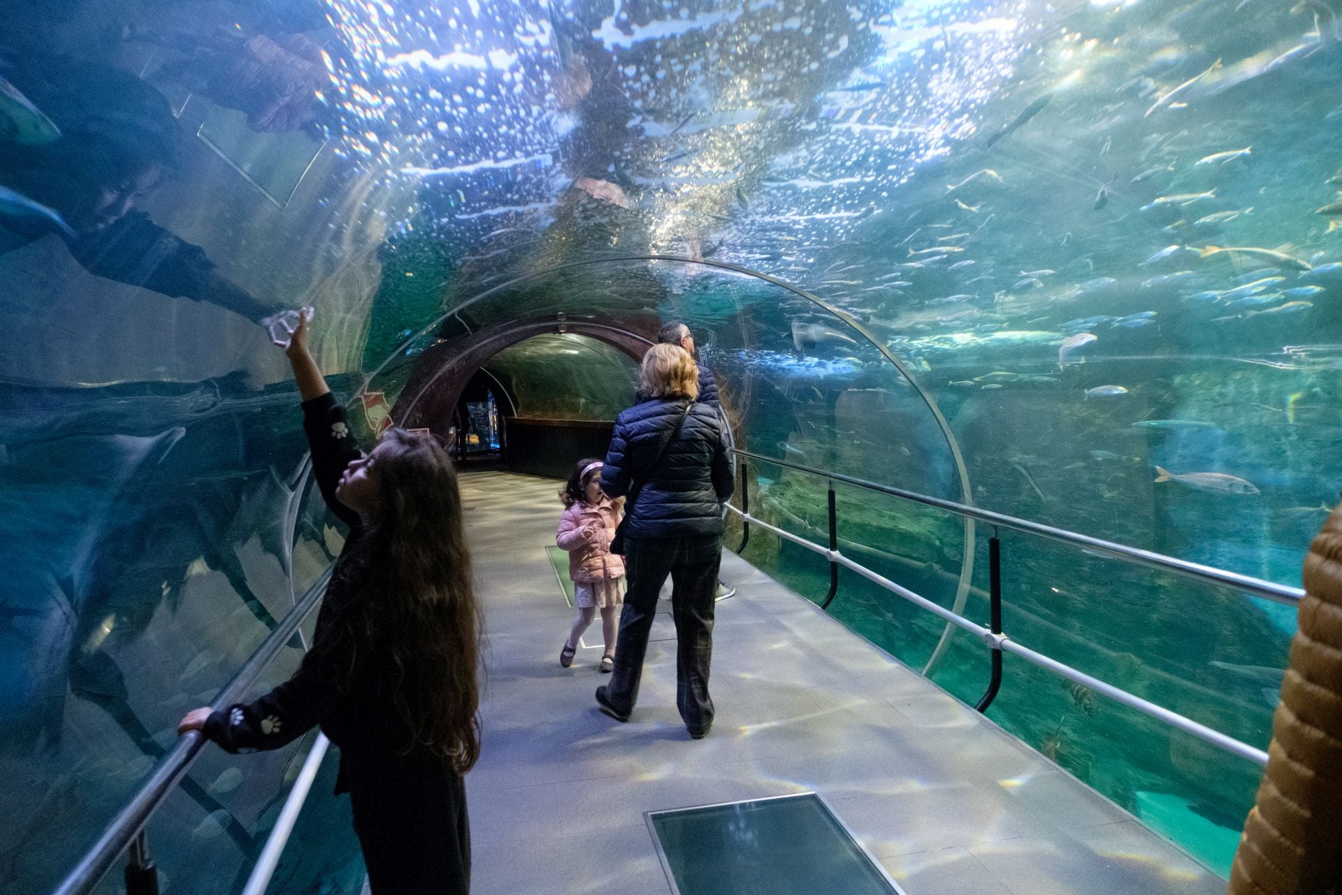 Visita al Aquarium de los suscriptores de El Diario Vasco