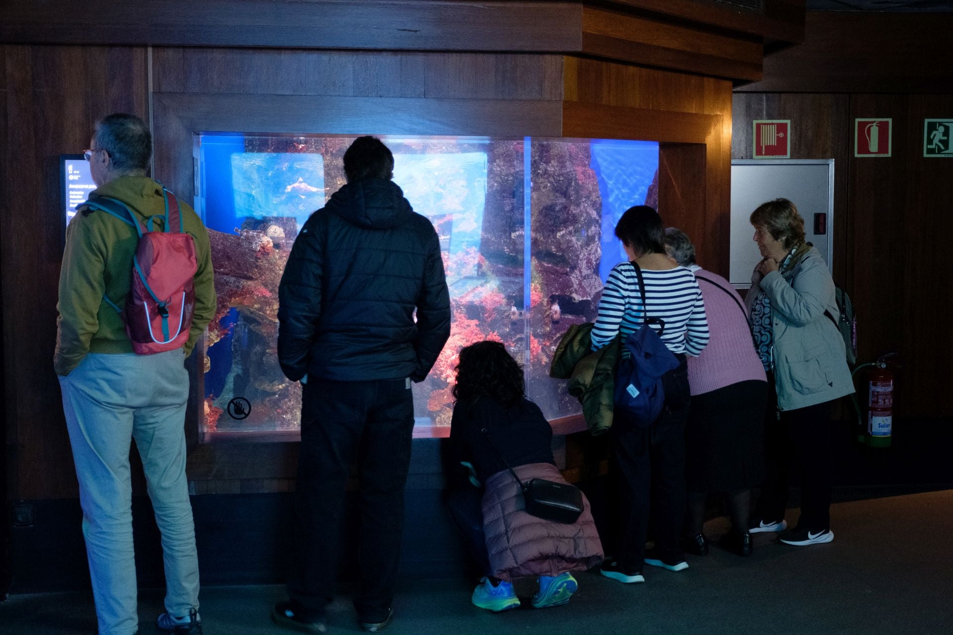 Visita al Aquarium de los suscriptores de El Diario Vasco