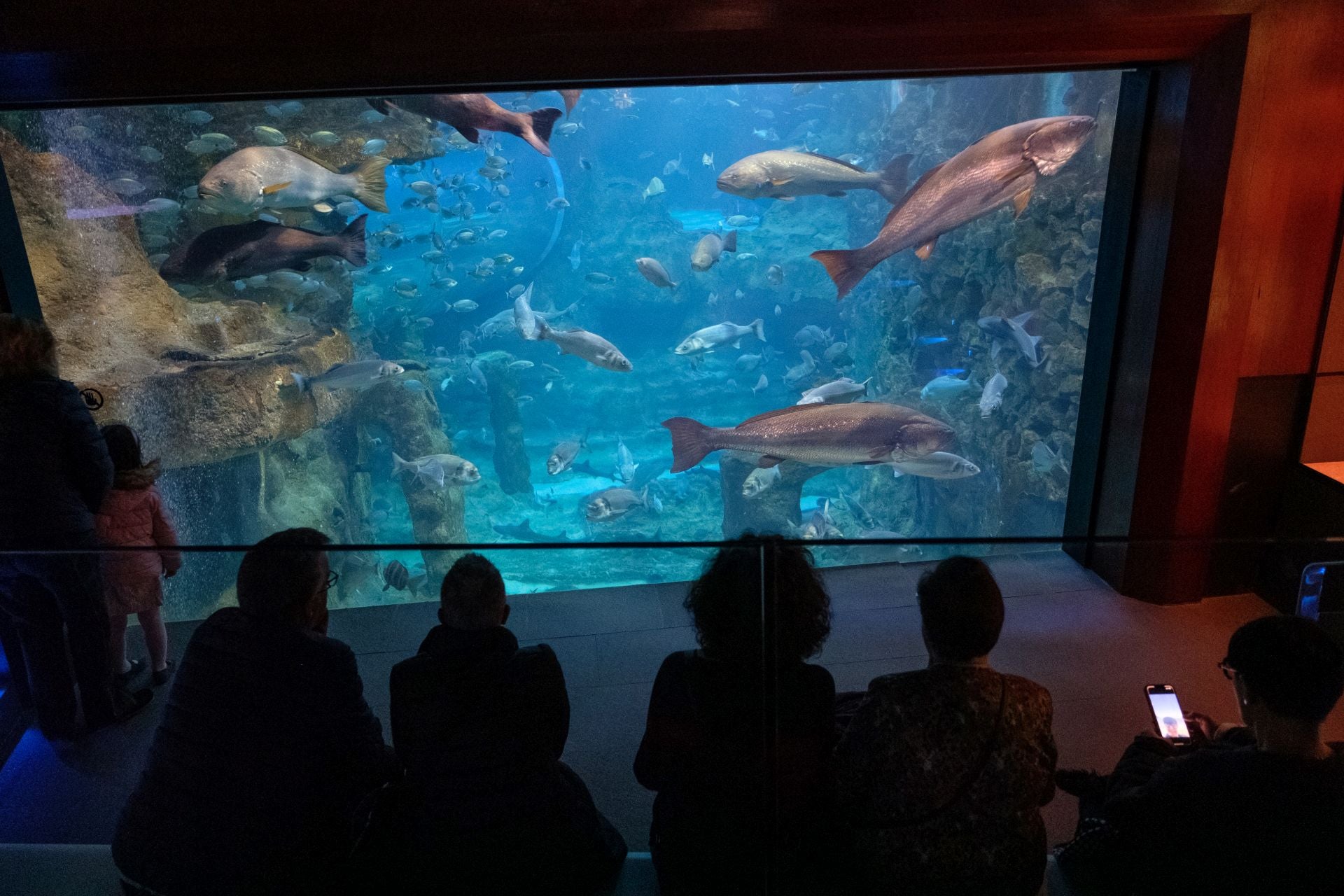 Visita al Aquarium de los suscriptores de El Diario Vasco