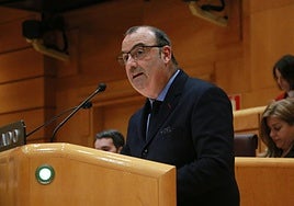 El senador del PNV, Luke Uribe-Etxeberria, durante su intervención.