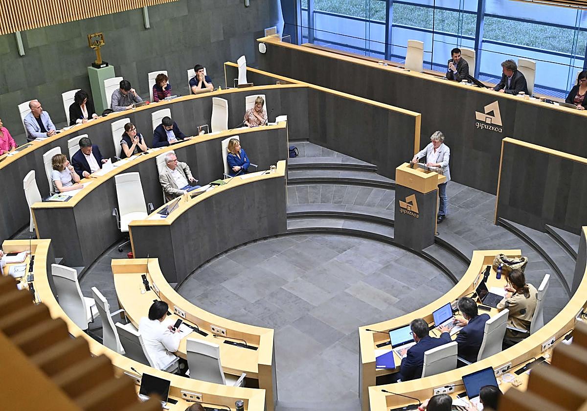 Pleno en las Juntas Generales de Gipuzkoa.