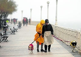 Dos personas pasean bajo la lluvia por San Sebastián junto a sus perros.