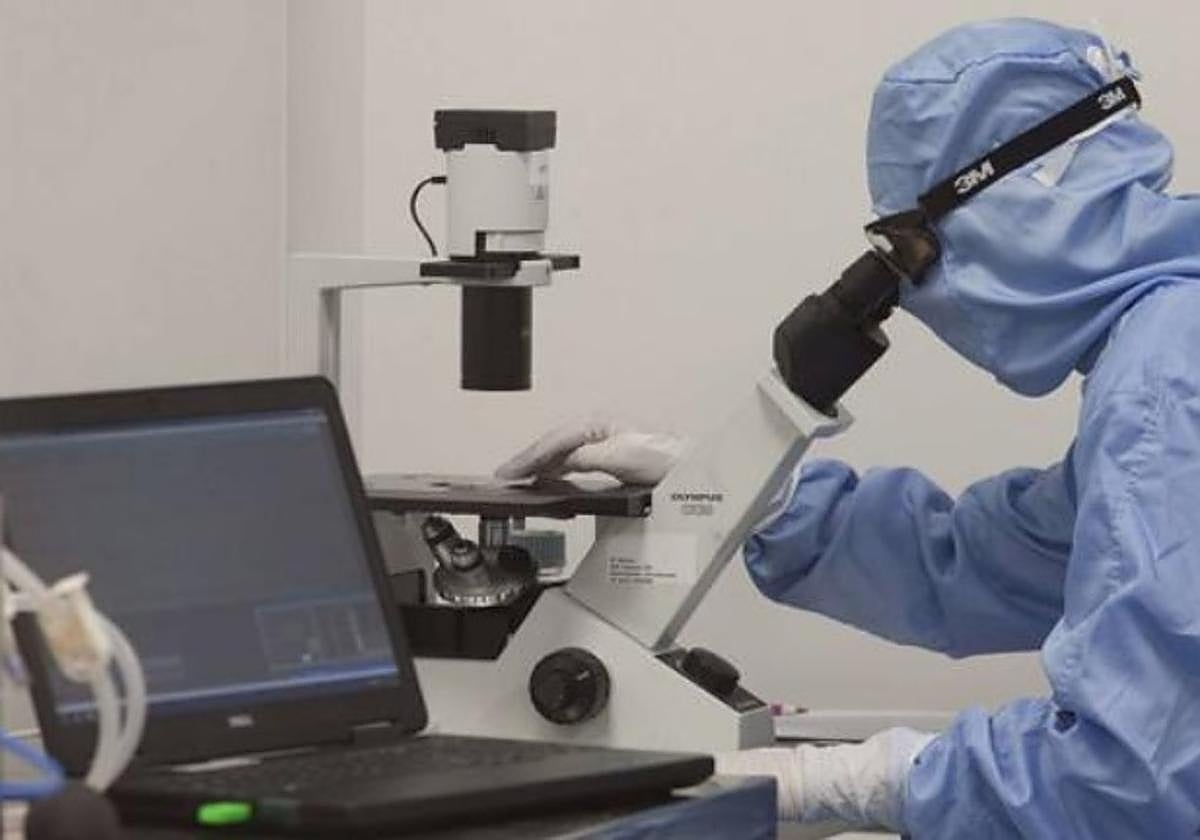 Qué son las terapias génicas y por qué tienen tanto valor