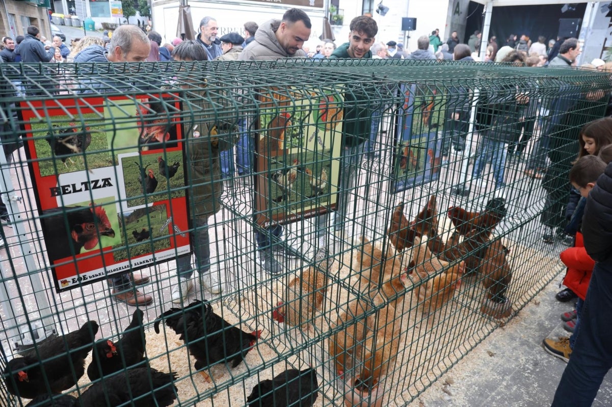 Gran ambiente en la feria de Santa Lucía