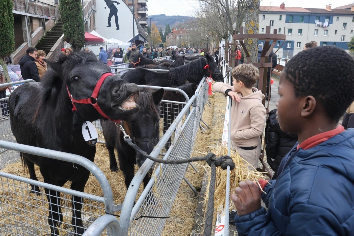 Gran ambiente en la feria de Santa Lucía