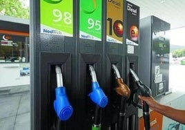 Surtidores de combustibles en una gasolinera guipuzcoana.