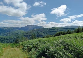 Entorno de Aiako Harria.