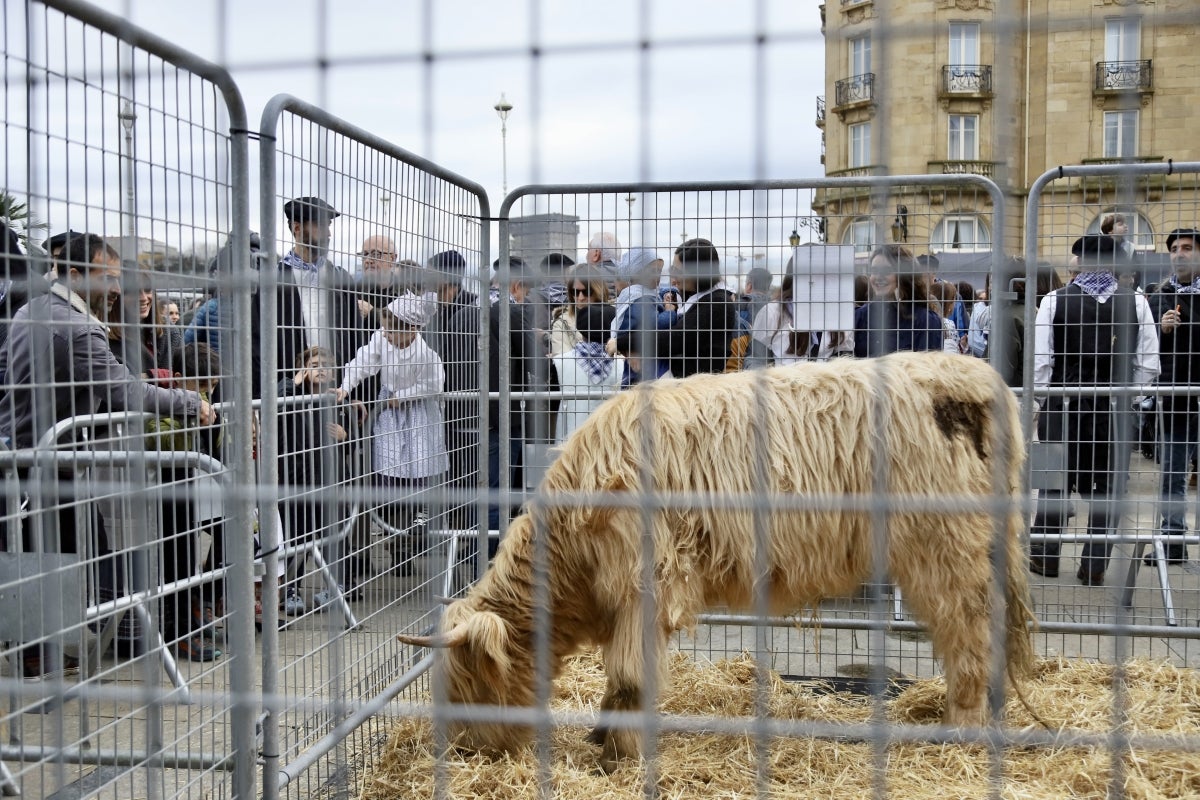 Donostia disfruta de su feria de Santo Tomás