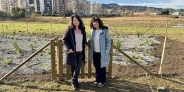 Irita cuenta desde ahora con un jardín para insectos polinizadores.