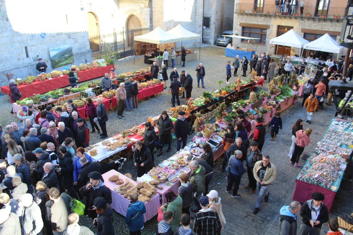 Giro aparta Zestoako Zoroperian