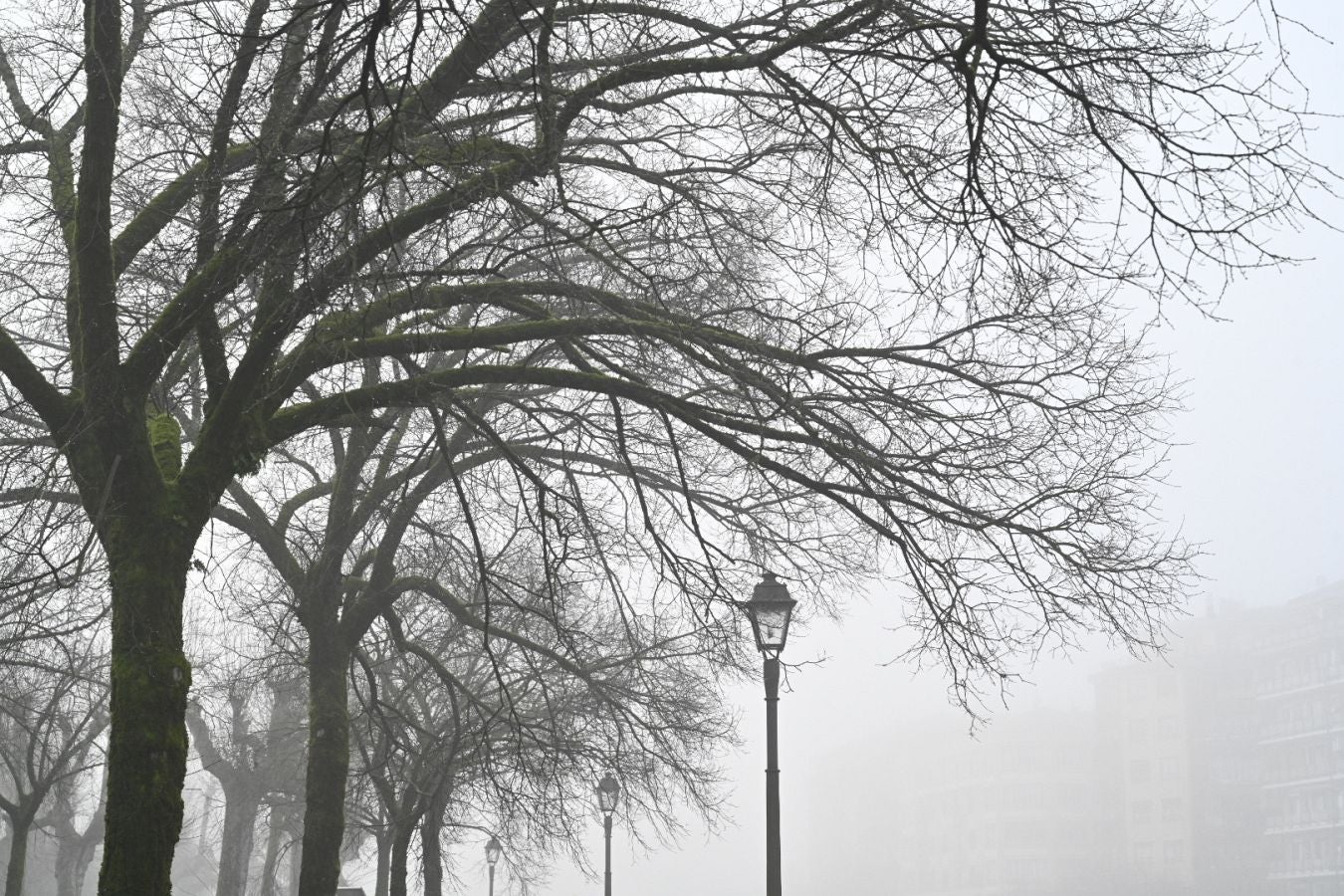 Gipuzkoa amanece bajo una densa niebla