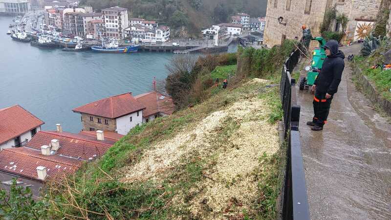 La ladera de Donibane completamente libre de maleza.