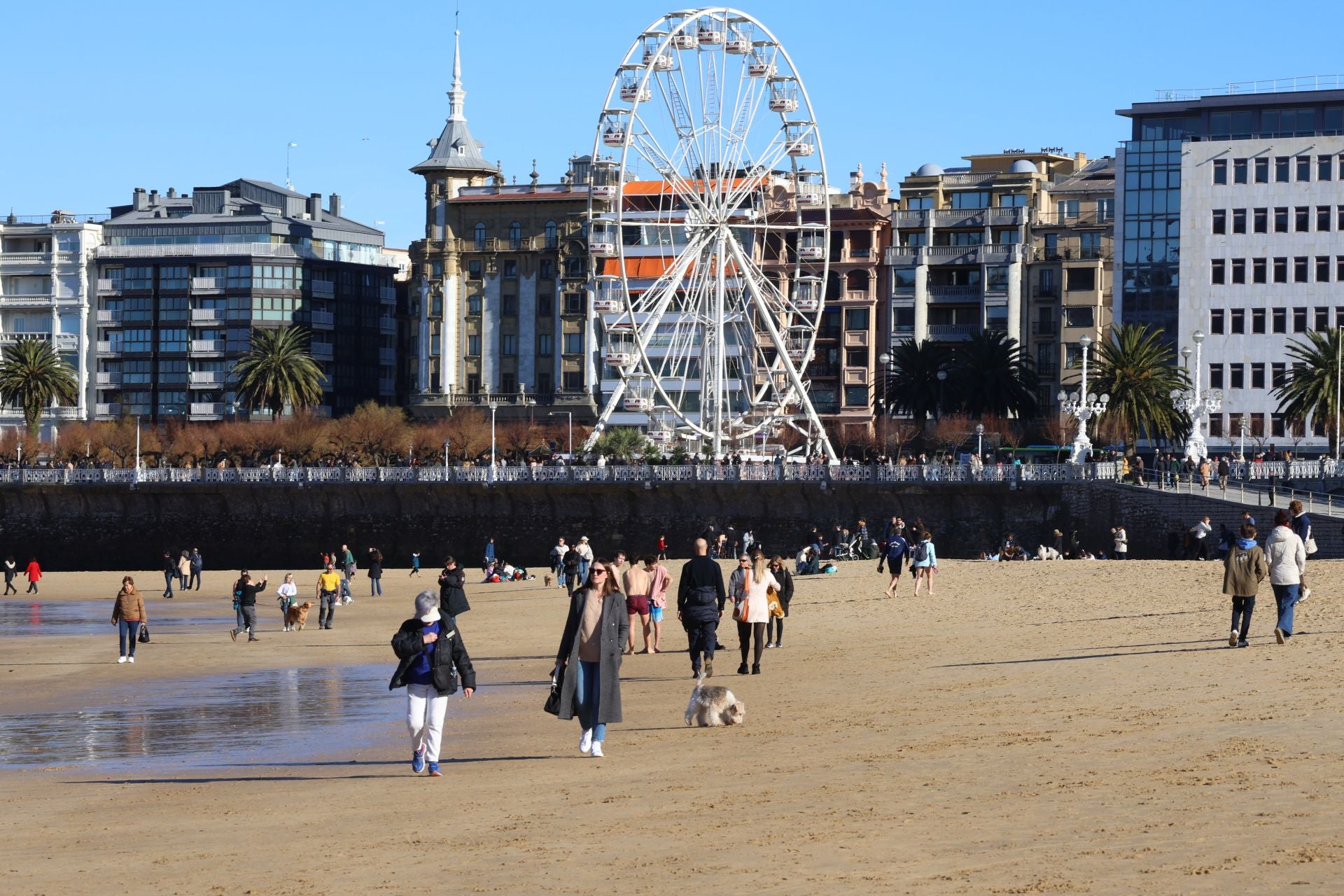 El primer baño del año, en imágenes