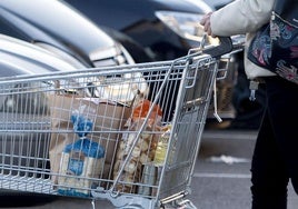 La detenida logró salir del supermercado con la compra valorada en 450 euros y agredió a un empleado en el parking.