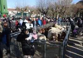 Deba celebra su feria por todo lo alto