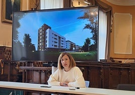 Laborda con una infografía que apunta la línea estética del bloque de VPO de Mendipe.