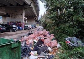 Desde hace un mes, la basura se acumula en el Paseo de Zorroaga