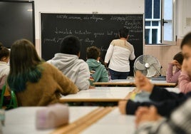 El modelo D, íntegro en euskera, está en auge y acoge ya a más del 70% del alumnado y en Infantil supera el 90%.