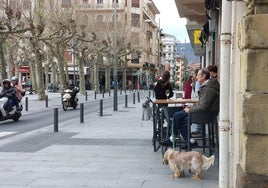 Un perro en una terraza de la plaza del Ensanche.