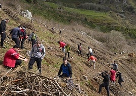 La recuperación de bosques públicos es un proyecto que viene de lejos; la foto corresponde a una plantación de especies autóctonas en las laderas de Uzturre hace ya varios años.