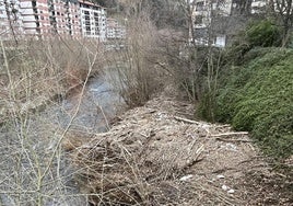 El Oria necesita una limpieza a su paso por Tolosa