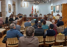 Parte de la veintena de ciudadanos que presenciaron la primera parte del pleno de este jueves.