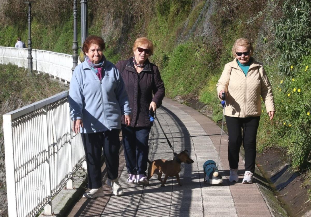 Tres mujeres mayores de Soraluze paseando en compañía de dos perros, este martes al mediodía.