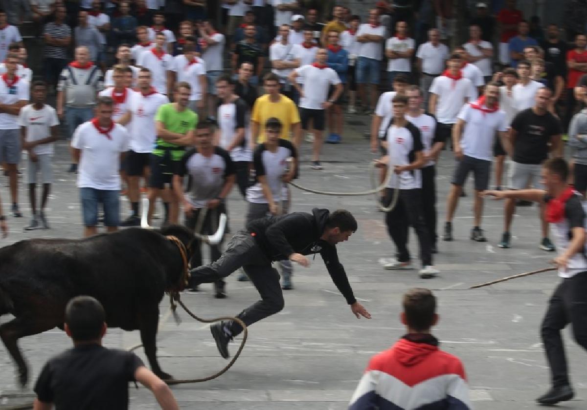 Una vaquilla golpea a un joven durante una de las sokamuturras de las pasadas fiestas patronales de San Bartolomé.