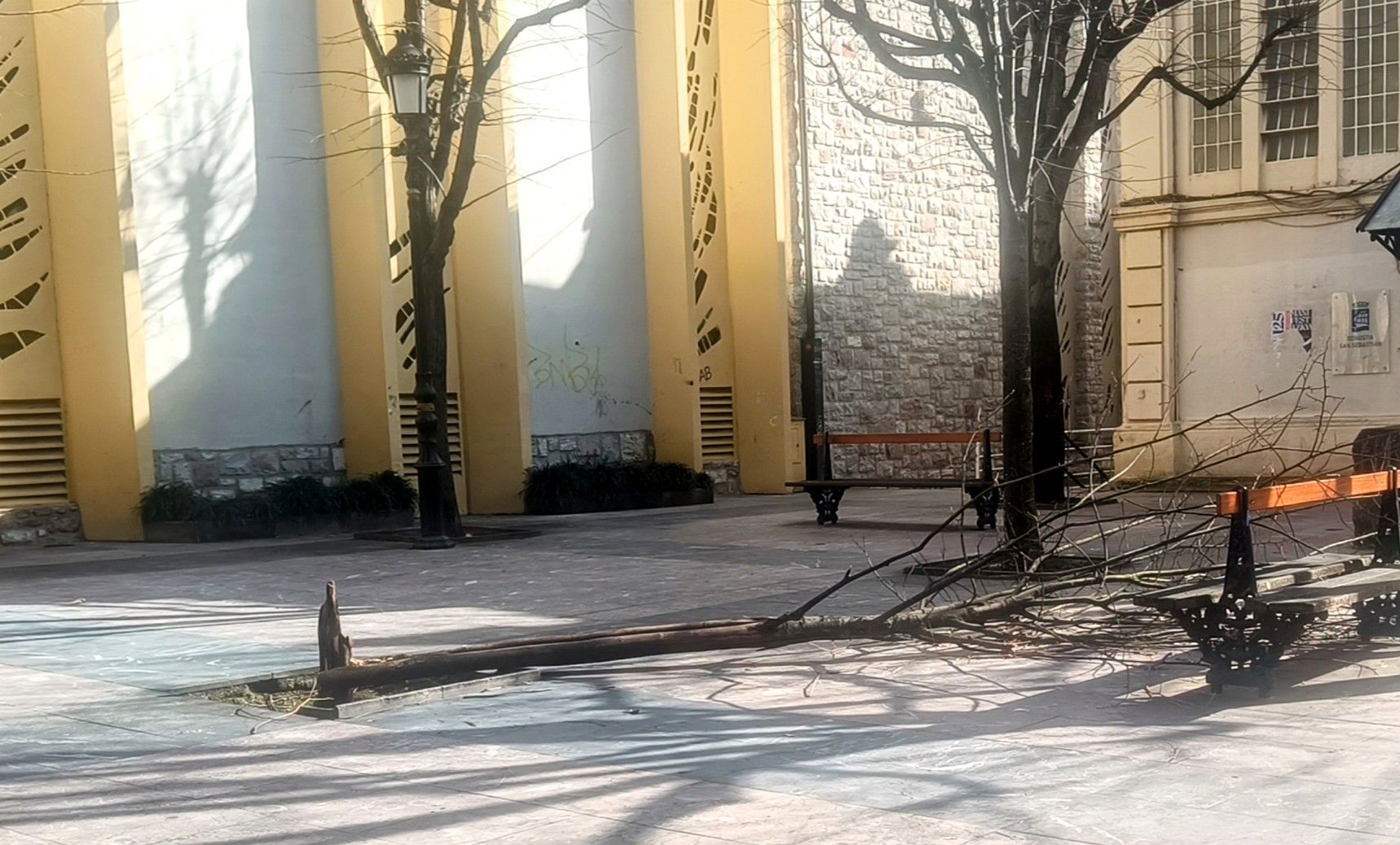 Los servicios municipales han procedido a retirar el árbol caído por causas desconocidas el pasado 26 de enero en la plaza Alfonso XIII del Antiguo. Los vecinos se habían quejado y reclamaban la actuación del Ayuntamiento, ya que se trata de una zona muy transitada y donde juegan muchos niños, por lo que se temía ocurriera algún accidente.