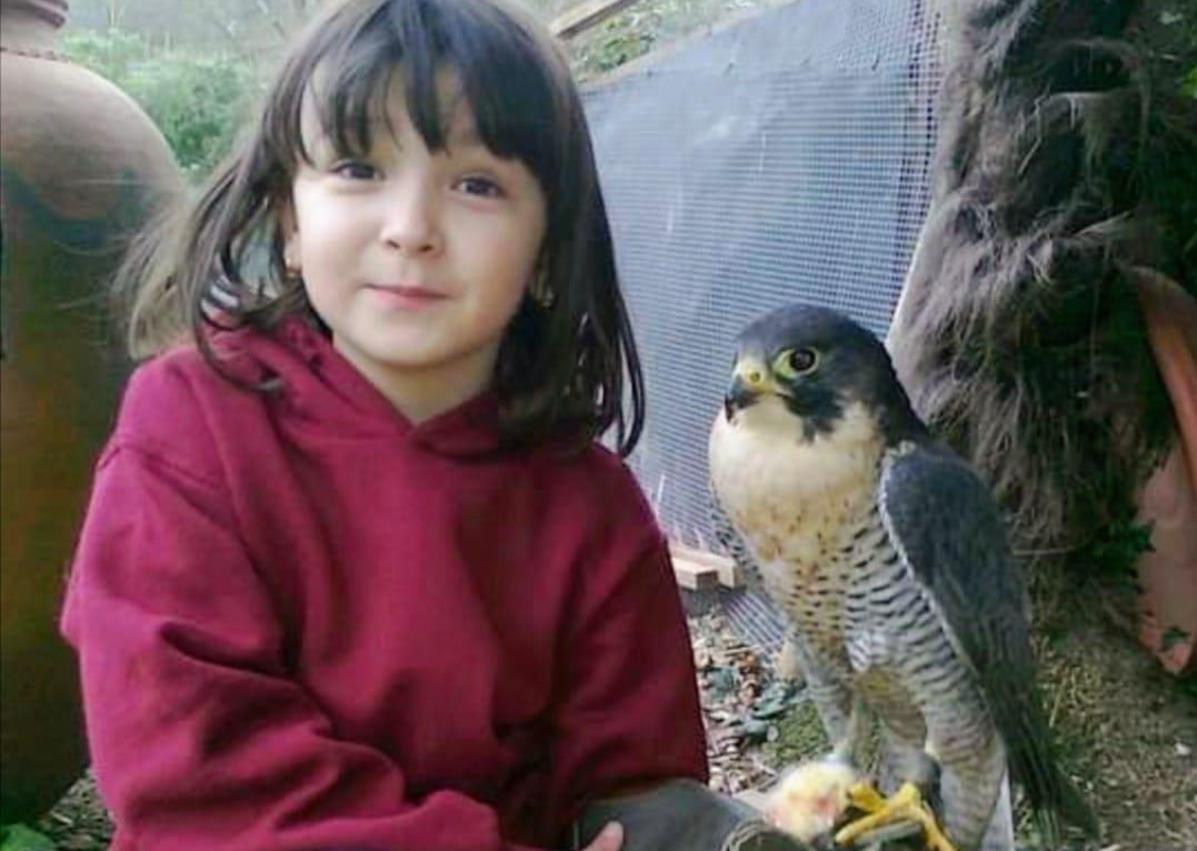 Imagen secundaria 1 - «El vínculo con un ave de presa llega a ser muy especial»