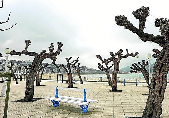 Un Paseo de la Concha vacío en pleno confinamiento en 2020.