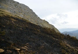 Fuego originado en monte Hernio.