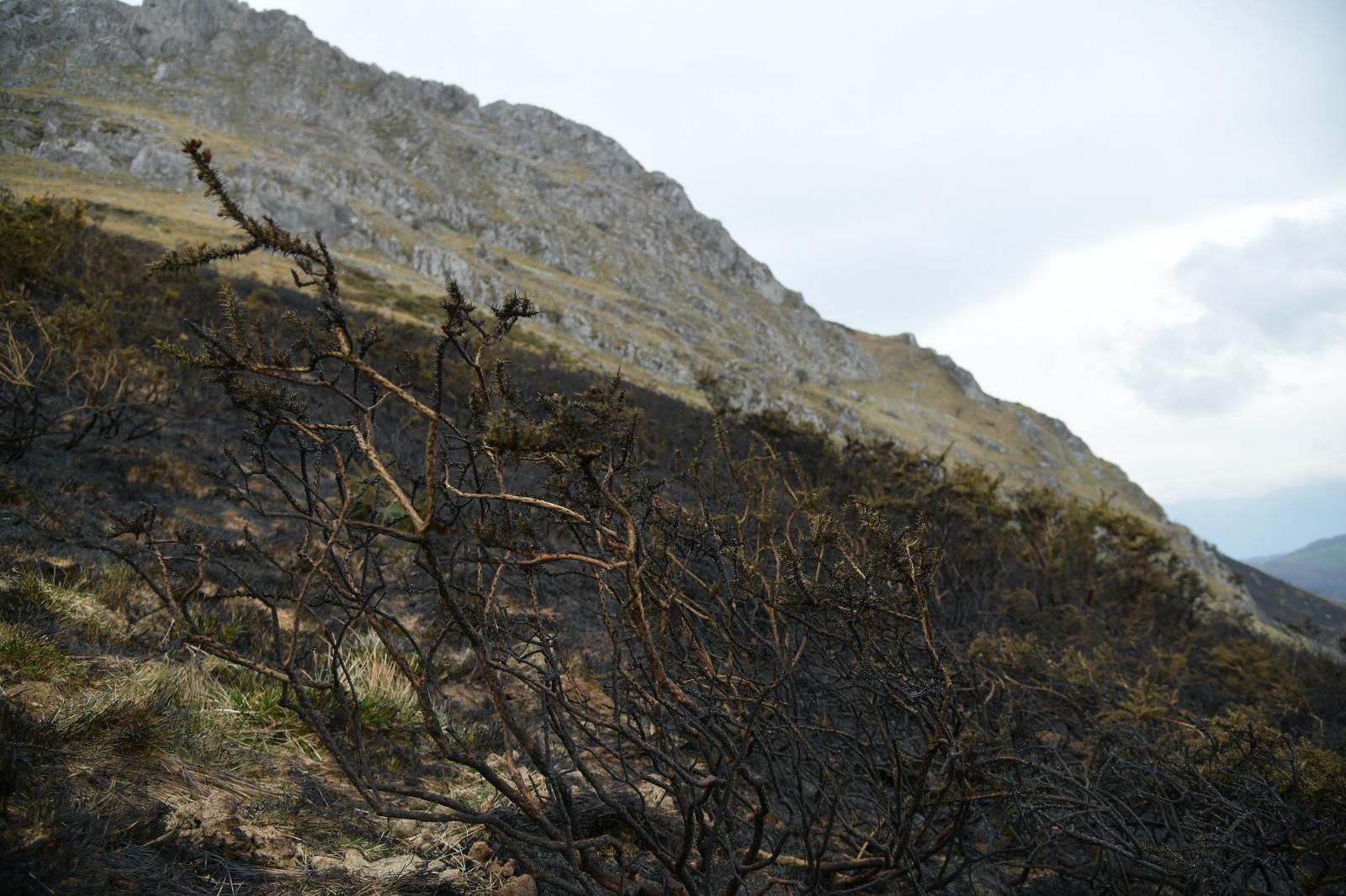 El monte Hernio, a vista de dron tras el incendio