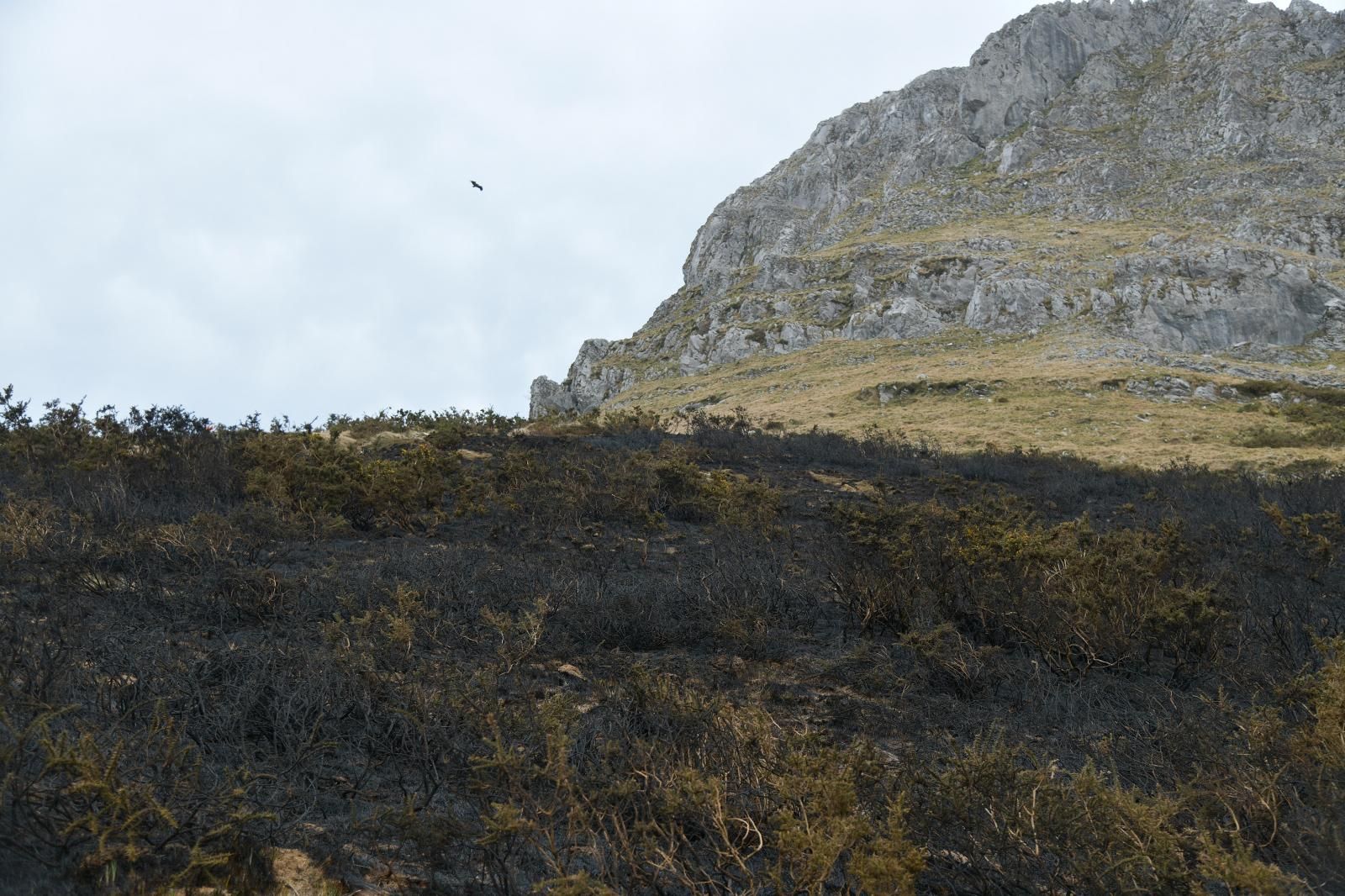 El monte Hernio, a vista de dron tras el incendio