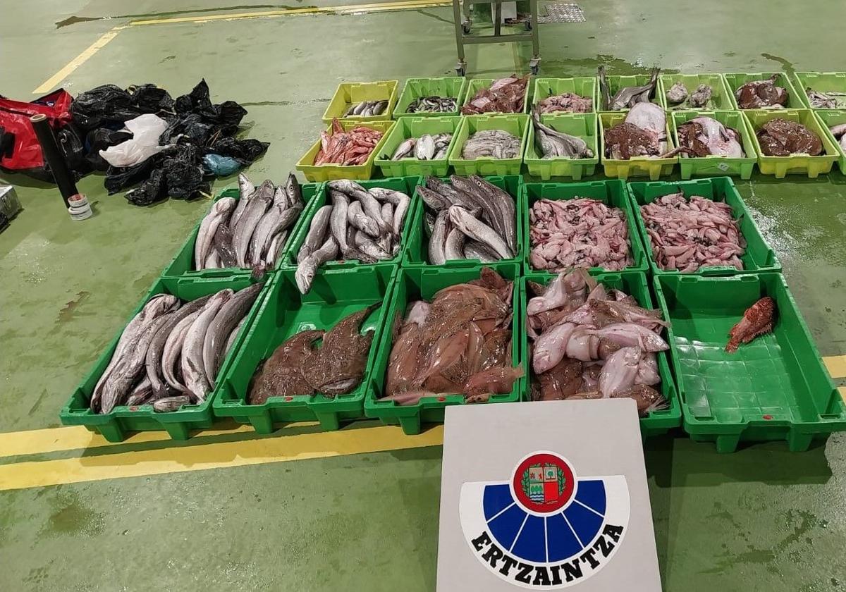 Interceptado en Ondarroa un vehículo con 375 kilos de pescado en condiciones de insalubridad