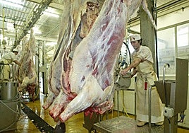 Imagen de archivo del Matadero de Tolosa.