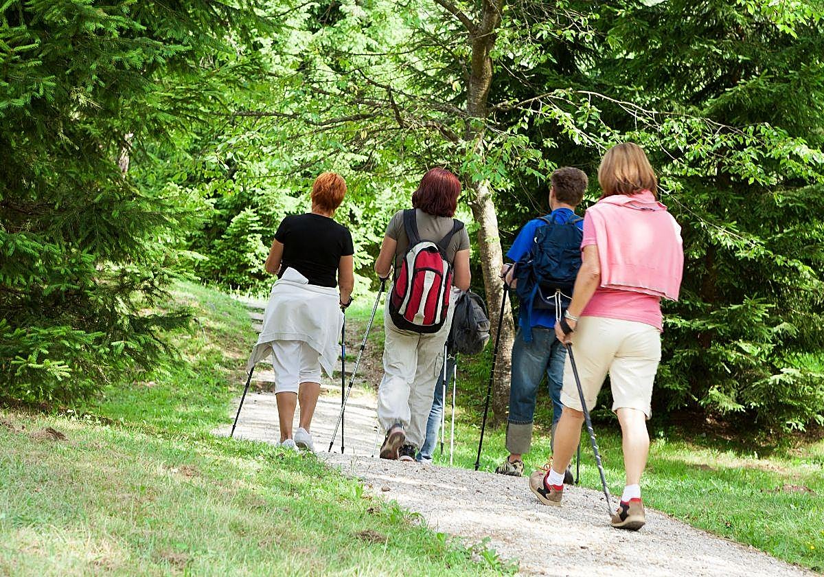 Un grupo de personas practican marcha nórdica.