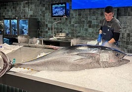 Atún de la Pescadería Coro Sotero en el Mercado San Martín de San Sebastián.