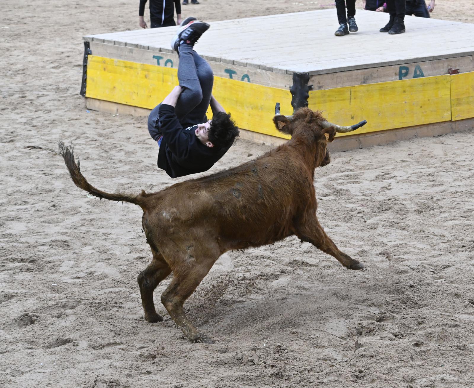 No faltaron las vaquillas en Tolosa