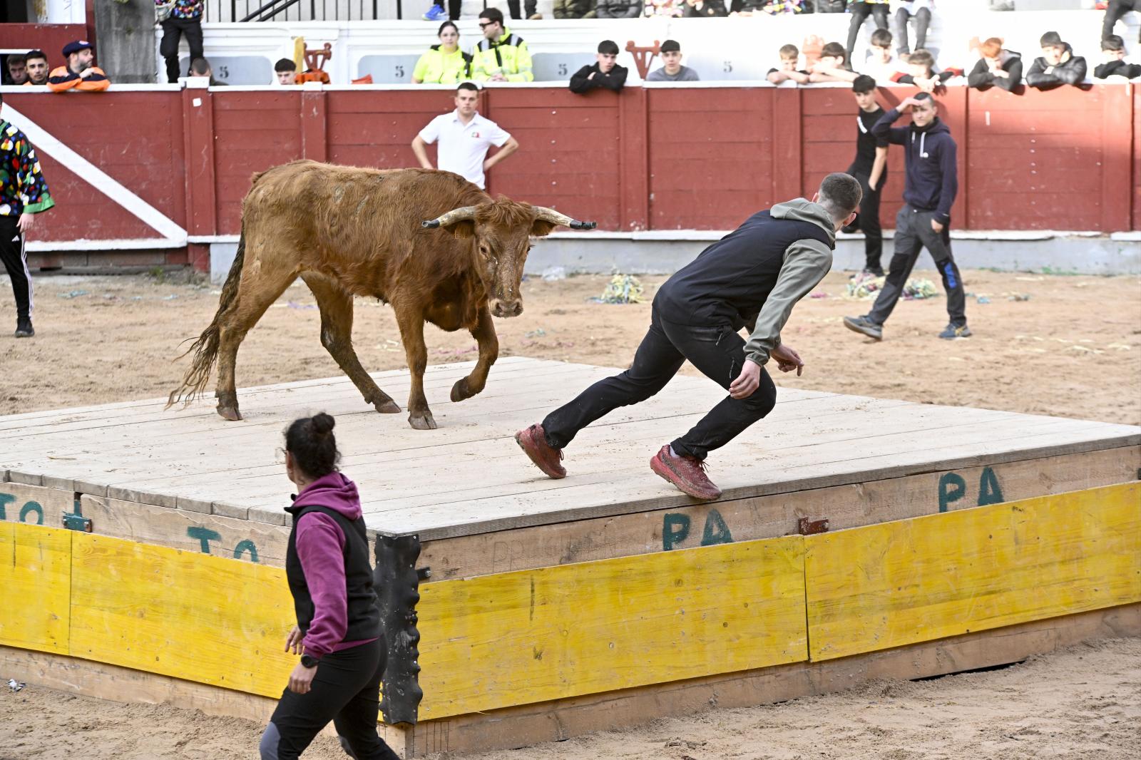 No faltaron las vaquillas en Tolosa