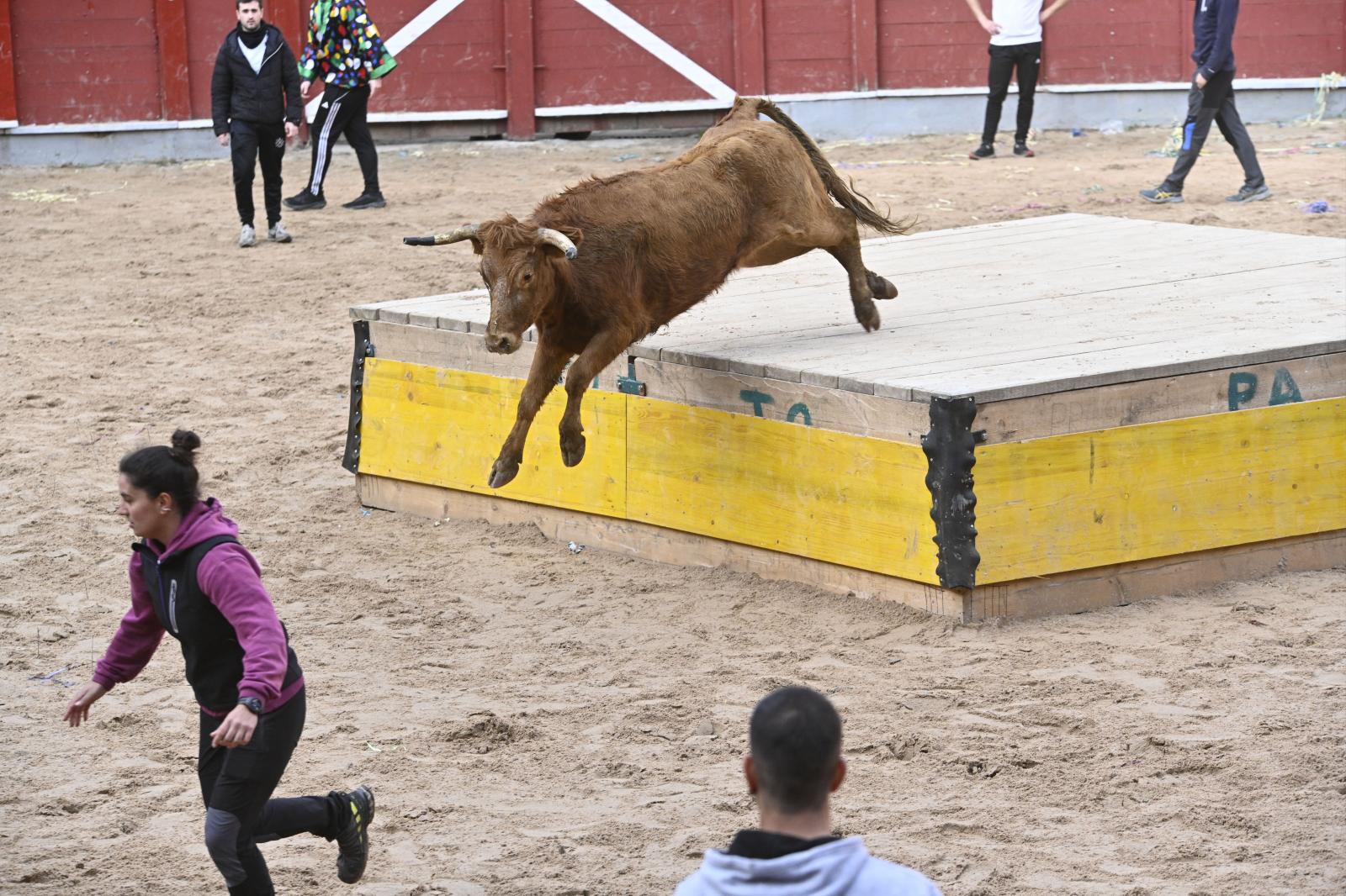 No faltaron las vaquillas en Tolosa