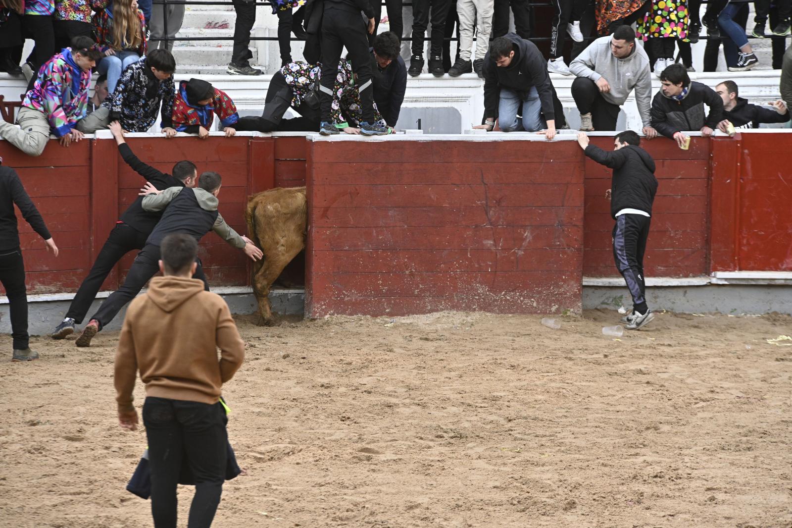 No faltaron las vaquillas en Tolosa