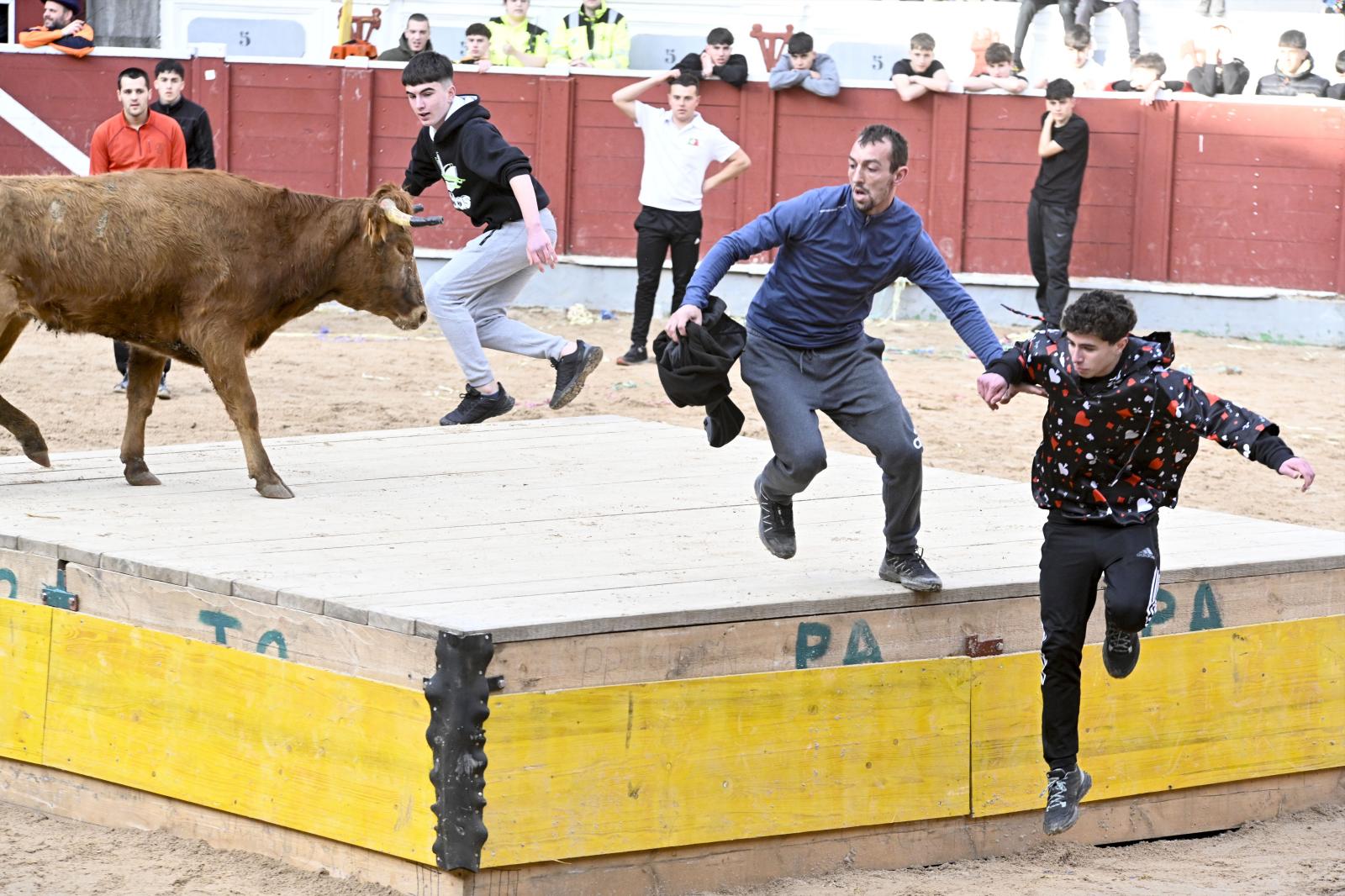 No faltaron las vaquillas en Tolosa